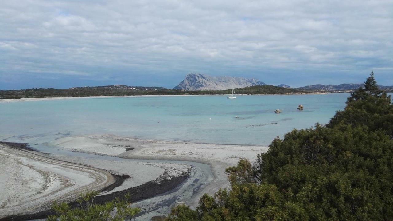 Appartamenti Sardegna Porto San Paolo  Esterno foto