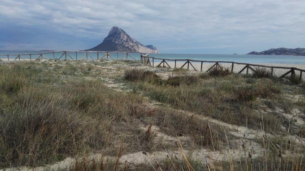 Appartamenti Sardegna Porto San Paolo  Esterno foto