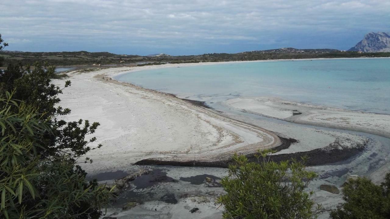 Appartamenti Sardegna Porto San Paolo  Esterno foto