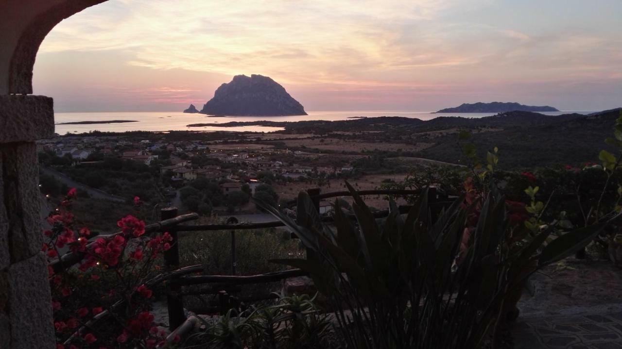 Appartamenti Sardegna Porto San Paolo  Esterno foto